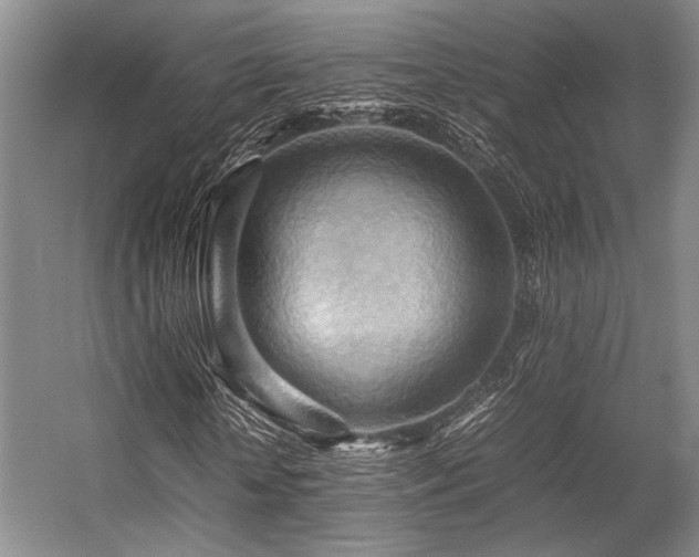 X0000057580818200509161059