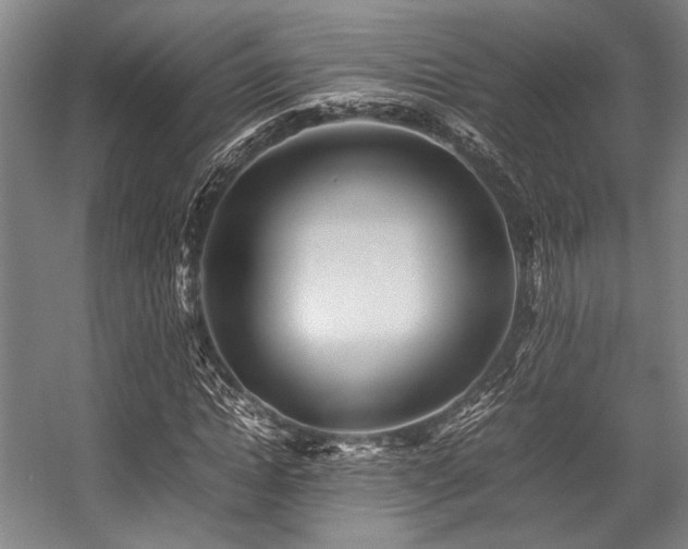 X0000057580822200509161059