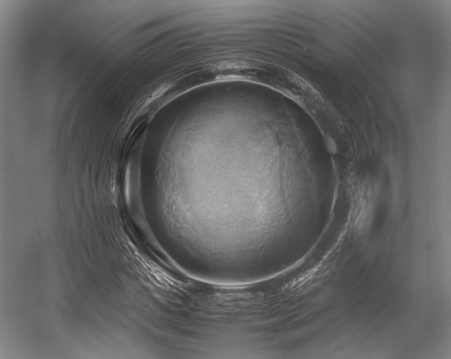 X0000057580825200509161059