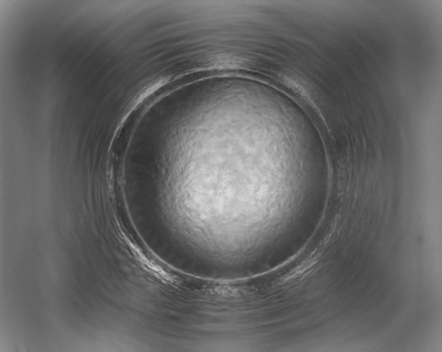 X0000057580827200509161059