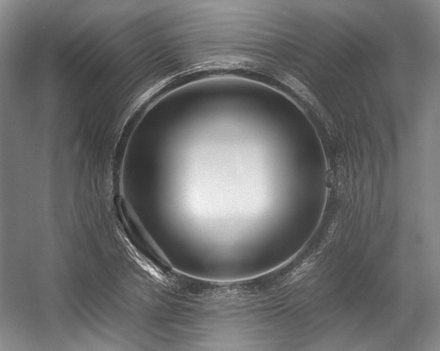 X0000057580834200509161100