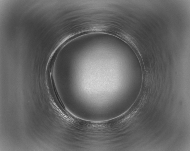 X0000057580835200509161100