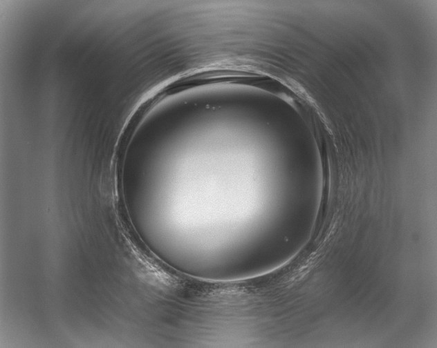 X0000057580838200509161100