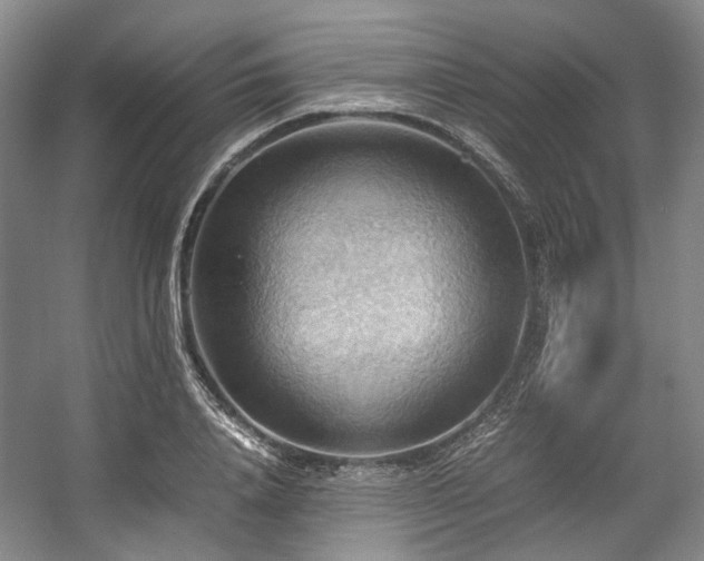 X0000057580840200509161100