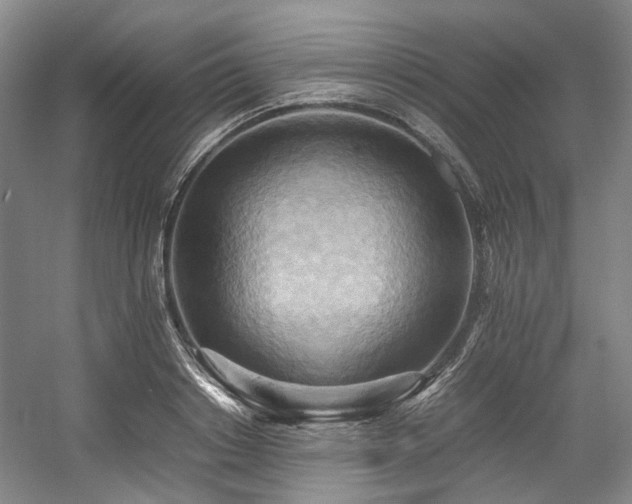X0000057580842200509161100