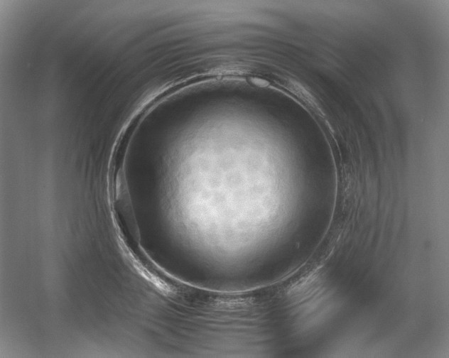X0000057580843200509161100
