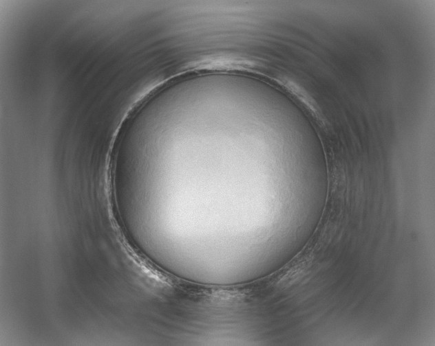 X0000057580848200509161100
