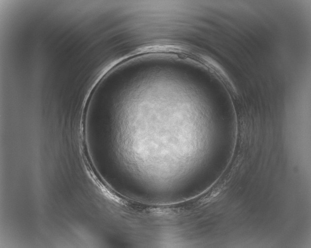X0000057580852200509161100