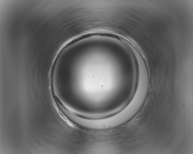 X0000057580862200509161100