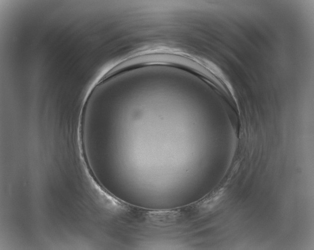 X0000057580863200509161100