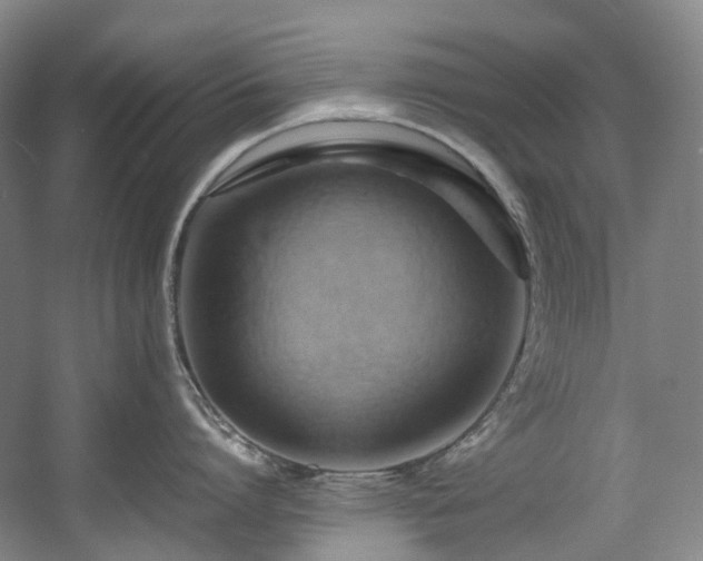 X0000057580864200509161100