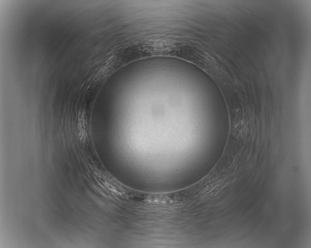X0000057580866200509161059