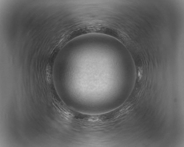 X0000057580867200509161059