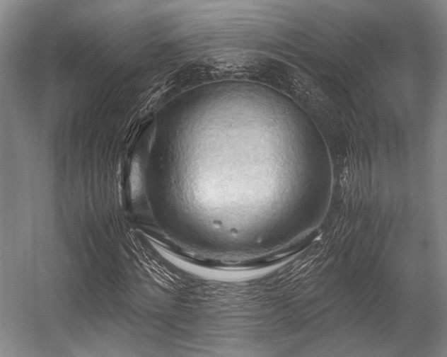 X0000057580868200509161059