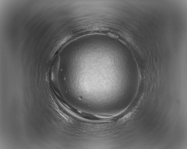 X0000057580881200509161059