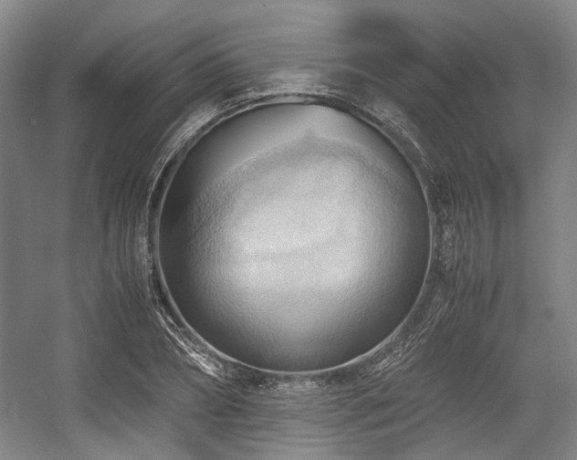X0000057580882200509161059