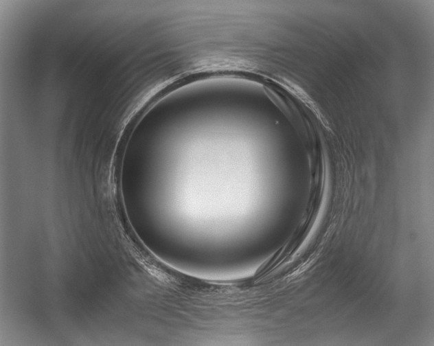 X0000057580885200509161059