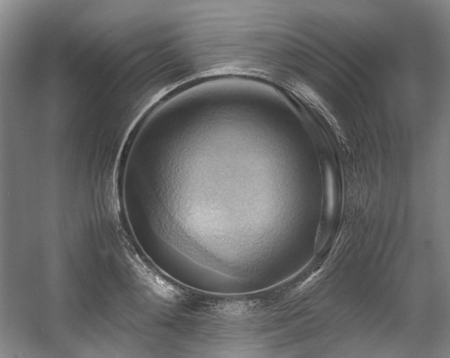 X0000057580892200509161059