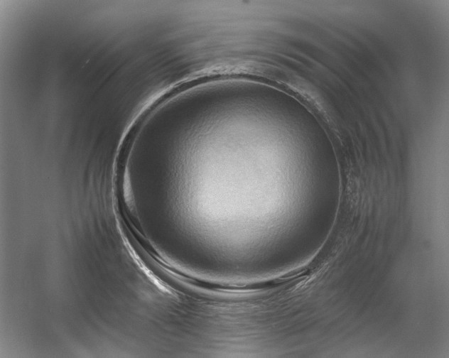 X0000057580894200509161059