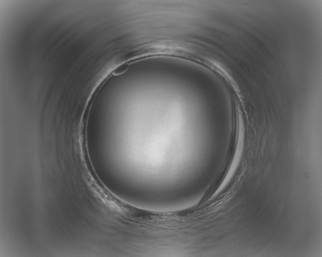 X0000057580899200509161059