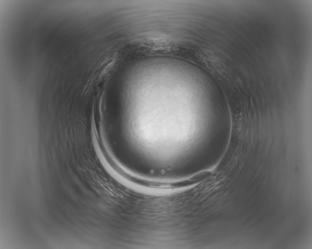 X0000057580916200509161058
