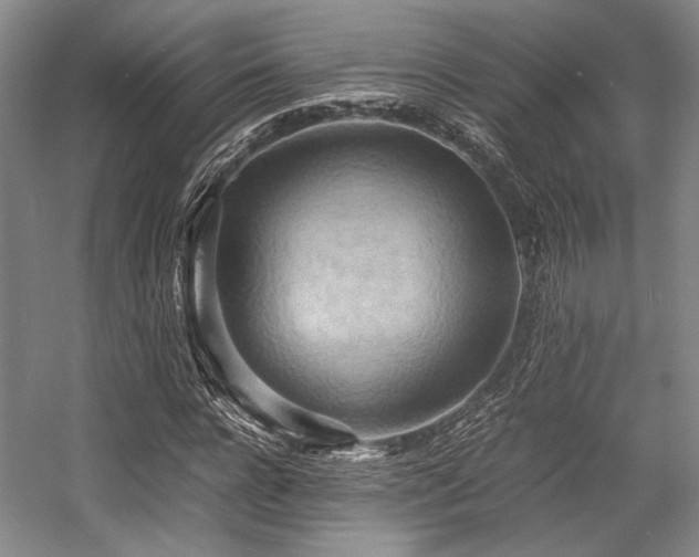 X0000057580920200509161058