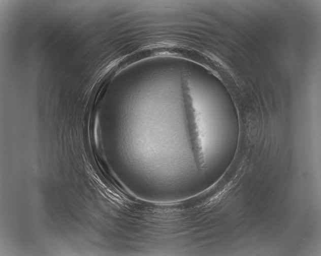 X0000057580921200509161058