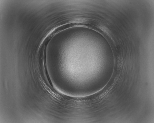 X0000057580923200509161058