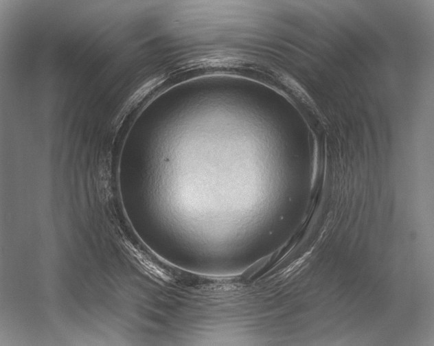 X0000057580930200509161058