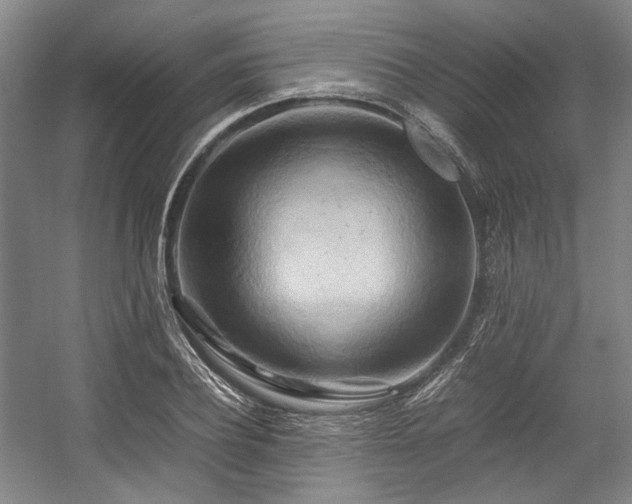 X0000057580932200509161058