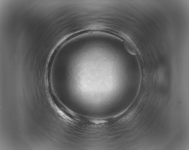 X0000057580939200509161058