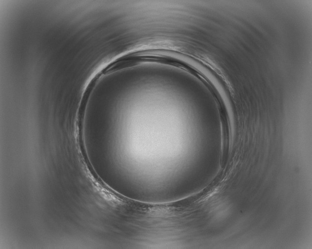 X0000057580944200509161058