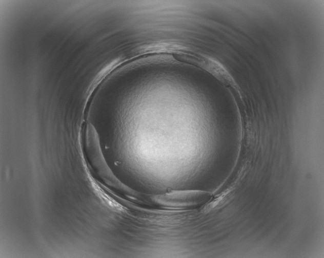 X0000057580946200509161058