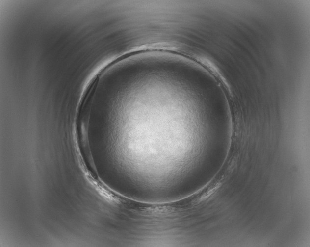 X0000057580952200509161058