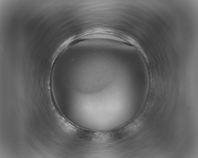 X0000057580954200509161058