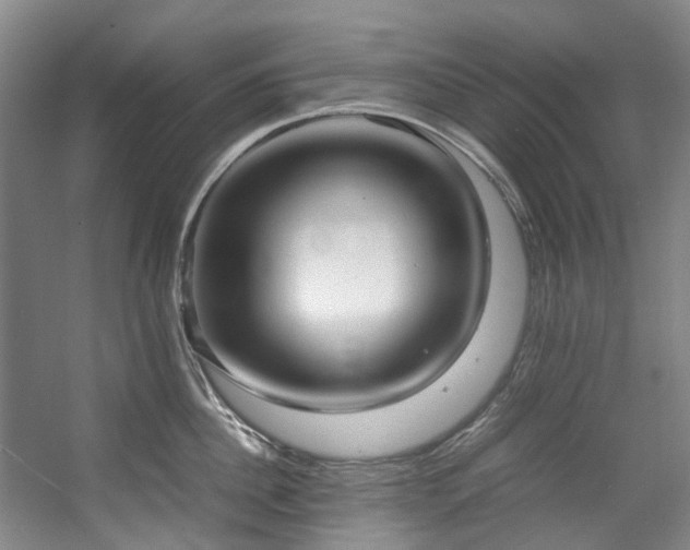 X0000057580956200509161058