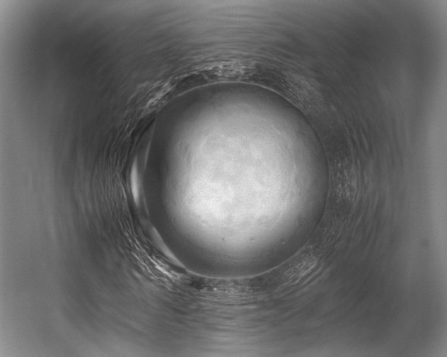 X0000057580962200509161058