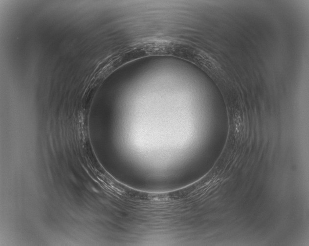 X0000057580964200509161058