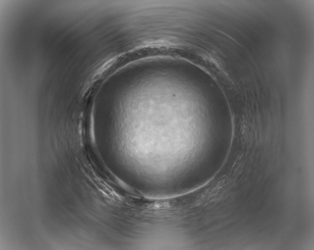 X0000057580968200509161058
