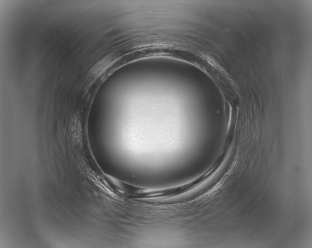X0000057580969200509161058