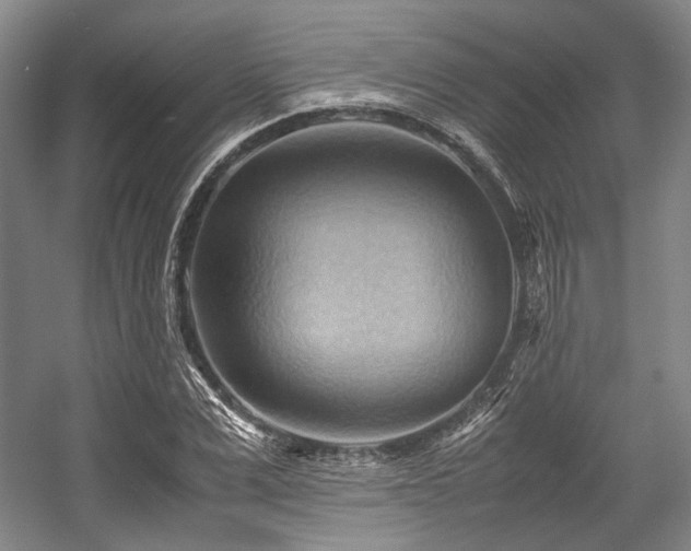 X0000057580975200509161057