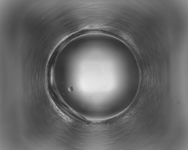 X0000057580976200509161057