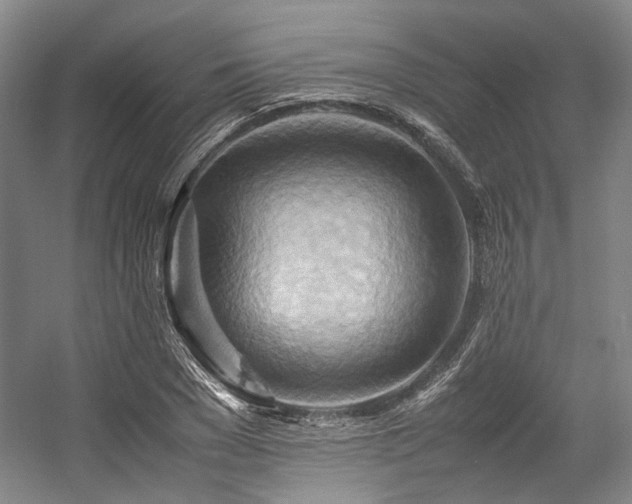 X0000057580977200509161057