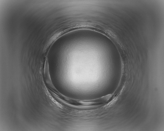 X0000057580985200509161057