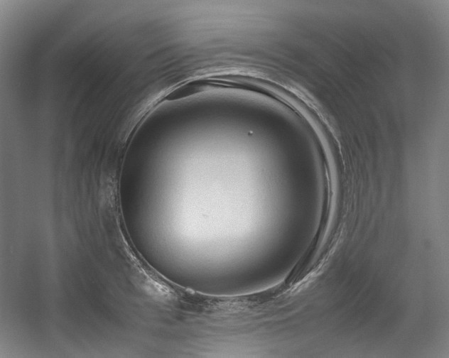 X0000057580993200509161057