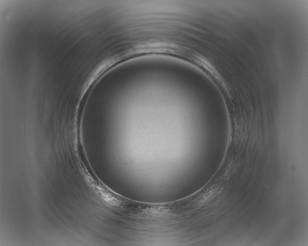X0000057580994200509161057