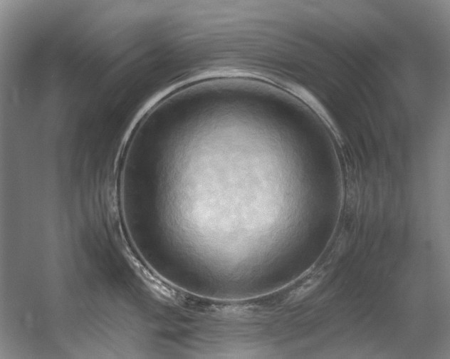 X0000057581004200509161057