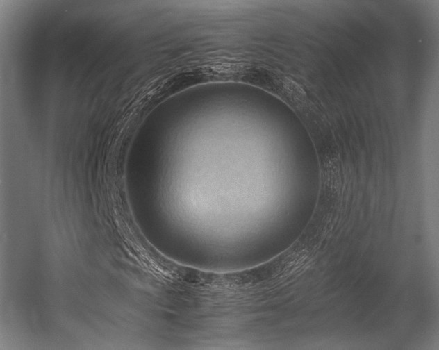 X0000057581009200509161056
