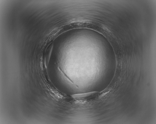 X0000057581014200509161056
