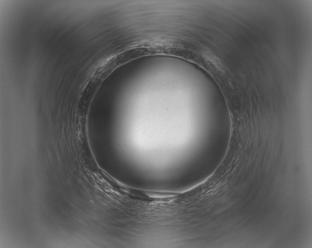 X0000057581016200509161056